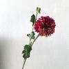 Dalia simulación diente de león artificial multicolor crisantemo de una sola bola boda hogar decoración de mesa accesorios para arreglos florales