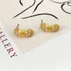 Diseño de Nicho, Sensación de Alta Gama, Pendientes Únicos con Lazo Exagerado, Pendientes Exquisitos de Lujo Ligero para Mujer, Estilo Ins