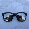 8235 Gafas Estrella de Pimienta Li Yifeng Gafas de Sol Negras Gafas de Sol Reflectantes Retro Gafas de Sapo para Hombres y Mujeres