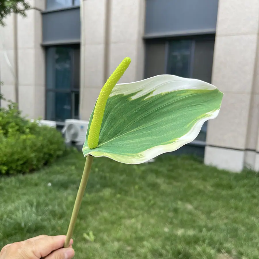 单支3D打印EVA鲁米那掌-xjmlkx 6# 白边绿.JP