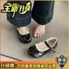 Sapatos Mary Jane Casuais Femininos com Fivela de Flor de Coração 2025 Primavera Novo Diário Versátil Saia Sapatos Pequenos de Couro