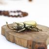 Escarabajo de Latón Ceremonia del Té Mascota de Té Adorno Cobre Puro Tianniu Pisapapeles Artesanía de Cobre Antigua Llavero de Unicornio Hada