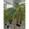 Palma Areca Interior Cicadácea Palma de Coco Plantas Verdes Maceta de Piso Árbol Falso Decoración de Paisajismo para Sala de Estar