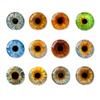 Parche de Ojo de Vidrio de Simulación Parche de Gema de Tiempo Ojo de Dragón Retorcido Joyería Hecha a Mano DIY Accesorios