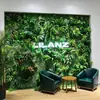Parede de Plantas Parede de Fundo de Plantas Verdes Decoração de Parede Interna Varanda Cabeça de Porta Tridimensional Gramado Artificial Biônico
