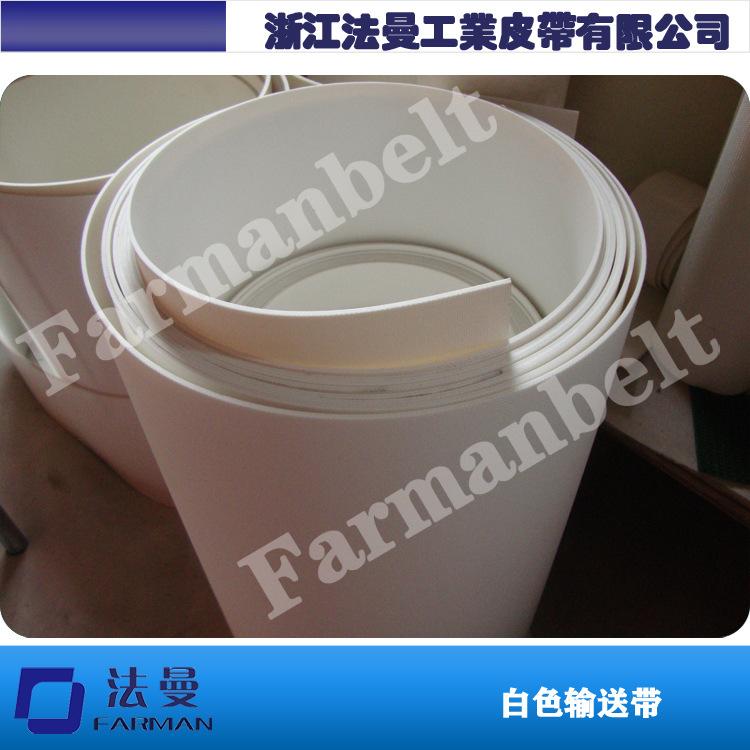 白色输送带1