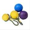 Juguete eva para mascotas al por mayor pelota para mascotas pelota de entrenamiento para perros pelota de entrenamiento para perros juguete para mascotas pelota de cuerda resistente a mordeduras palo para bruxismo