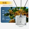 Aromaterapia de Osmanthus Habitación Botella de Aceite Esencial de Gama Alta Líquido de Recarga de Fragancia Difusor de Caña de Larga Duración Decoración Venta al por Mayor Personalización