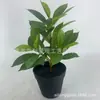 Camélia Folhas Falsas Folhas Falsas Artificiais Folhas de Bola de Alho Poró Cinza Plantas Decoração de Casamento Hotel Folhas