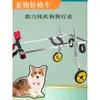 Silla de ruedas para mascotas de cuatro ruedas para extremidades delanteras para gatos y perros, Scooter Asistente para Patas Traseras para Mascotas Mayores Discapacitadas, Soporte para Patas Traseras