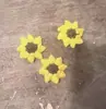 Cabeza de Girasol Tejida Hilo Crochet Llavero de Girasol Accesorios Venta al por Mayor Girasol Gana el Primer Lugar