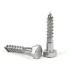 Tornillos Autorroscantes Externos de Acero Inoxidable 304 Din571 Cabeza Hexagonal Tornillos para Madera Pernos M6~M12