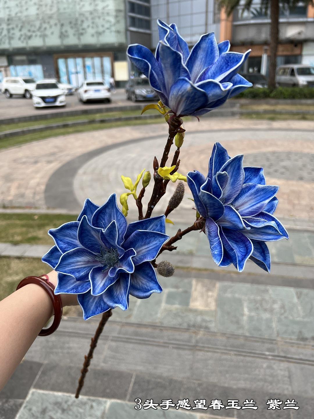 微信图片_20230319093105.jpg