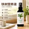 Solução Nutricional de Fórmula Especial para Cica - Previne Folhas Amareladas, Promove o Crescimento, Fertilizante Foliar para Bonsai e Plantas de Vaso, Fertilizante Líquido Orgânico para Ficus