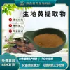 Matérias-Primas para Extrato de Rehmannia Glutinosa, Pó de Rehmannia Glutinosa, Pó de Rehmannia Glutinosa Fabricado em Fábrica, Extrato de Rehmannia Glutinosa em Estoque