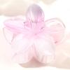 Presilha de Frangipani Colorida Doce de 4cm Venda Quente Transfronteiriça Acessório de Cabelo Doce Acessório de Cabeça Feminino Flor Acessórios de Cabelo Presilha de Cabelo Placa Atacado