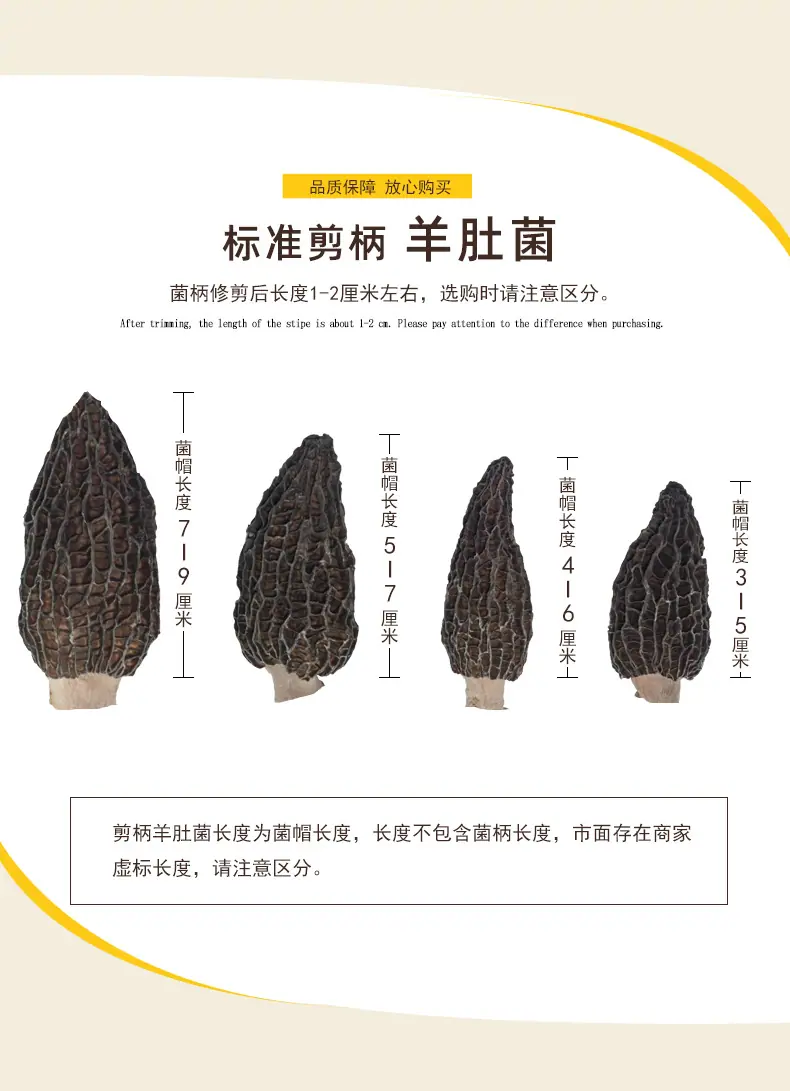 羊肚菌详情_04.jpg
