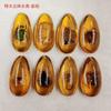 Gotas de Agua Grandes Insectos Reales Ámbar Doble Cara Espécimen de Insecto Real Ámbar Nuevo Colgante de Ámbar Extraño Colgante