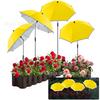 Sombrilla Popular Transfronteriza para Plantas de Amazon, Flor en Maceta, Sombrilla de Protección Solar, Aislada, Sombrilla de Protección para Plantas de Exterior en el Suelo