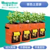 En Stock Ebay Amazon Pe Bolsas para Plantar Patatas, Bolsas de Cultivo Engrosadas para Patatas, Bolsas para Plántulas de Hortalizas