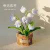 Nuevo Kit de Materiales DIY Palo Retorcido para Adornos de Flores de Rosa en Maceta, Evento de Compra Grupal, Regalo Creativo para Amigos