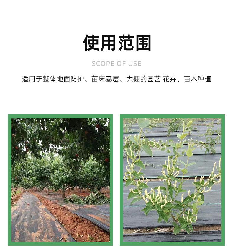 详情页-临沭华际塑编有限公司-1_11.jpg