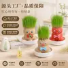Boneco de Grama Planta Verde Hidropônico de Mesa Grama Fácil de Cultivar Ornamento de Vaso para Jardim de Infância Boneco de Grama Feito à Mão