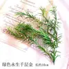 Pacote de Material de Flores Secas Espécime Jardim de Infância Casca de Fruta Caseira Flor Seca Bolota Porta-Retrato Espécime Pinha Porta-Retrato DIY Feito à Mão