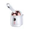 Nuevo producto: vaporizador facial con doble pulverización de temperatura fría y caliente para limpieza facial doméstica, pulverizador para salón de belleza, pulverizador térmico con agua que complementa el vaporizador facial.