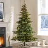 Fornecimento Direto Transfronteiriço Pe Misturado Árvore de Natal Camadas Artificial Criptografada Árvore Verde Árvore Despida Cena de Natal Atmosfera Decorações