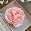 Seaside Sunset Photo Acessórios de cabelo bonito vermelho flor hairpin lateral clip Bangs Clip Head Flor Hairpin Headwear Mulheres
