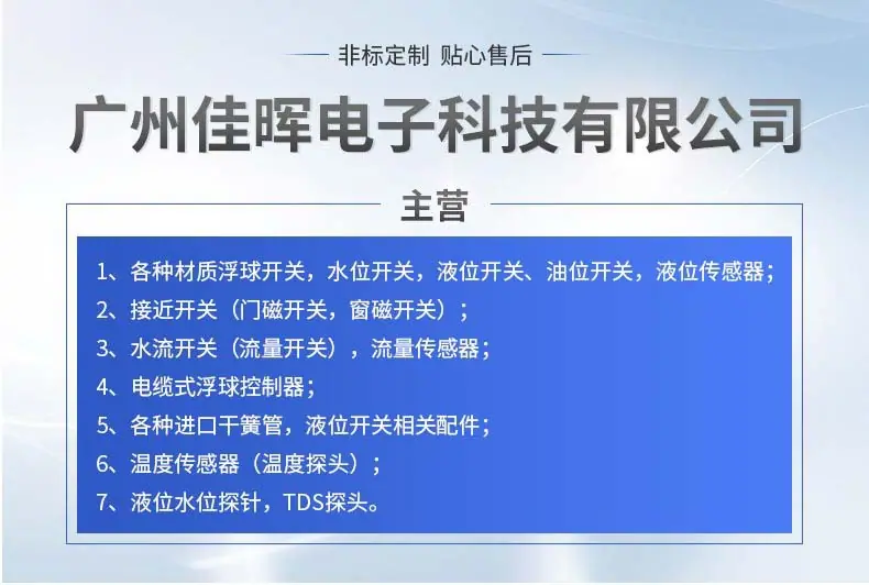 主营业务