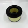 Fornecimento Atacadista de Fabricantes Elemento de Filtro de Ar de Carro Filtro 17801-Oc010