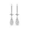 Pendientes de Gancho de Flor de Hielo de Piedra Preciosa de Colores Más Vendidos en Tiktok Lágrimas de Rupert con Diamante de Alto Carbono Súper Brillante Pendientes Dinámicos con Forma de Huevo Estilo Paloma