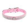 Multi-Row Diamond Crown coleira de gato coleira de gato divertida coleira de gato cão coleira universal uma geração de pelos