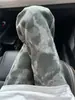 517 Jeans Camuflado Masculino Marca de Moda de Luxo Estilo High Street Americano Calças Retas Slim Fit Ligeiramente Flare Calças Sabre