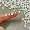 Decorações de Artes para Unhas de Floco de Neve de Natal com Glitter Branco Transfronteiriças de Inverno Acessórios de Resina Capa de Celular DIY Acessórios de Cabelo 3D