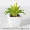 Suculentas Simuladas Personalizadas Cerámica Bonsái Plantas Verdes Escandinavas Adornos Hogar Interior Sala de Estar Flores Falsas Suculentas Plantas en Maceta