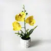 Vaso Abacaxi 3 Orquídeas Phalaenopsis Planta Verde Artificial Filme de Vaso Sensação de Flor Artificial Decoração de Casa Escritório Bonsai