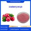 Pó de Cranberry Pó de Suco de Cranberry Grau Alimentício Pó de Fruta Inteira Solúvel em Água Comprimido Doce Bebida Sólida Matéria-Prima