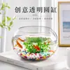 Tanque de cría de tortugas transparente engrosado con forma de tambor redondo, pecera de vidrio DIY de micro paisajismo creativo de escritorio