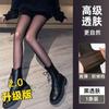 Leggings de Talla Grande para Otoño e Invierno con Forro Polar, Piernas Grises de Azafata, Medias Gruesas, Piel Falsa para Usar Transfronterizo