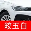 4. Plumón de pintura de retoque FAW-Volkswagen para Sagitar, Magotan, Tiguan, T-Roc y Tayron - una herramienta de retoque para coche para reparación de rayones