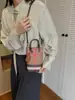 La Bolsa para Teléfono de Estilo Coreano de Moda de Este Año, de Nicho Retro de Gama Alta con Bloques de Color, es Versátil para el Trayecto Diario y Tiene un Elegante Diseño para Llevar en la Mano y Cruzada para Mujer