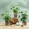 Planta Verde Creativa Hierba de Cuatro Hojas Cheyenne Planta en Maceta de Simulación Decoración del Hogar Escritorio de Oficina Planta de Simulación Crecimiento de Ojos Bonsái