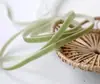 Accesorios para Ropa Encaje 0.7CM Corea del Sur Cinturón de Terciopelo Cinturón de Terciopelo Cinta Flocada Cinta Cinta de Terciopelo