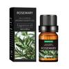 Óleo Essencial de Aromaterapia Desodorizante Transfronteiriço 10ml Máquina de Aromaterapia para Interior Fragrância Duradoura Óleo Essencial de Lavanda para Massagem