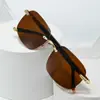 Óculos de Sol Sem Armação - Lançamento 2024 - Moda Masculina para Dirigir, Pescar e Viajar - Proteção Solar