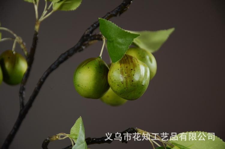 3-7绿色欧罗梨子..JPG