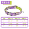 Coleiras para Cachorros de Novo Estilo Transfronteiriças com Cores Contrastantes para Animais de Estimação Grandes, Médios e Pequenos, Anti-Choque, Confortáveis, Não Sufocantes, Fornecimento Direto do Fabricante